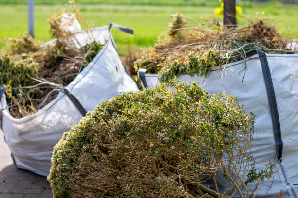 Best Affordable Junk Removal Services  in Salina, UT